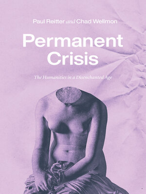 Permanent Crisis - ebook